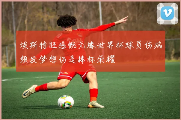 埃斯特旺感慨无缘世界杯球员伤病频发梦想仍是捧杯荣耀